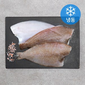 제주 가자미 (냉동), 500g, 1개