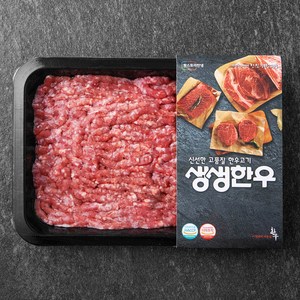 생생한우 1등급 다짐육 (냉장), 300g, 1개