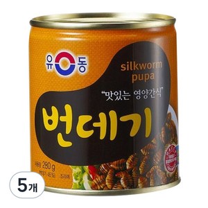 유동 번데기, 280g, 5개