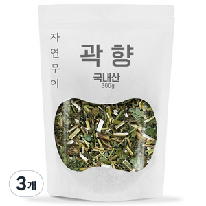 자연무이 곽향 곽향차 배초향, 300g, 3개