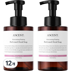 에이센트 퍼퓸드 버블 핸드워시 블루밍가든, 12개, 500ml