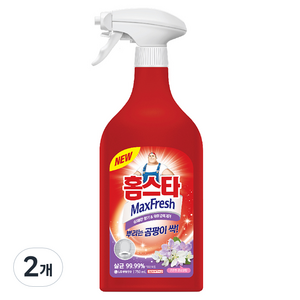 홈스타 맥스프레쉬 뿌리는 곰팡이 싹 세정제, 750ml, 2개