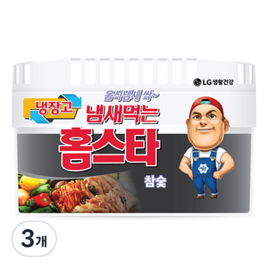 홈스타 냄새먹는 냉장고용 탈취제 참숯, 420g, 3개