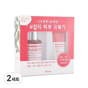 어퓨 산뽕나무 잡티 앰플 50ml + 크림 22ml 세트, 2세트