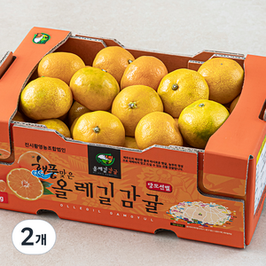 해풍맞은 올레길 Ai 당도선별 11bix 감귤 랜덤과, 2kg(랜덤과), 2개