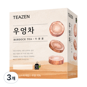 티젠 100세 시대 청춘비법 우엉차, 1g, 40개입, 3개