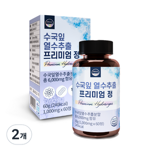 웰리즈 수국잎 열수추출 프리미엄 정 60g, 60정, 2개