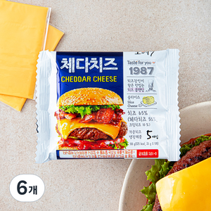 동원 소와나무 체다치즈 5매입, 100g, 6개