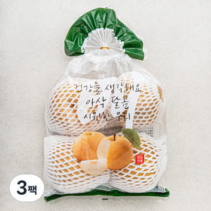 원농산 당도선별 배 3~4입, 3팩, 2kg