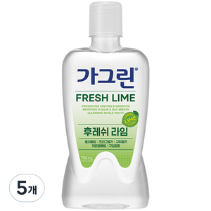 가그린 후레쉬라임 구강청결제 750ml, 5개