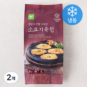 사옹원 부침명장 소고기육전 (냉동), 250g, 2개