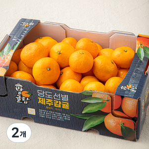 귤탐 당도선별 11brix 감귤, 2kg(소과), 2개