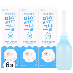 맑은그날 일회용 질세정기, 100ml, 6개