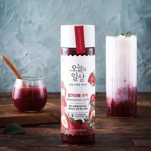 오늘의일상 딸기라떼 원액, 400ml, 1개