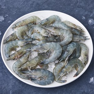 피시원 산지직송 갓 잡은 제철 생물새우, 1박스, 1kg(30~40미)