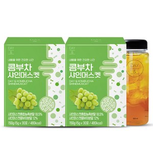 참앤들황토농원 데이앤 콤부차 샤인머스켓 5g x 60p + 전용보틀 세트, 30개입, 1세트