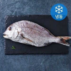 다미원 국내산 반건조 참돔 (냉동), 1개, 330g