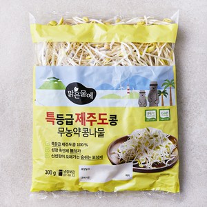 맑은물에 무농약 특등급 제주도콩 콩나물, 300g, 1개