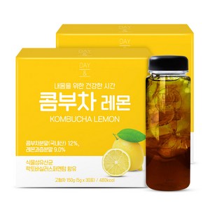 참앤들황토농원 데이앤 콤부차 레몬 150g x 2p + 전용보틀 세트, 2개