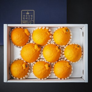 중문농협 황제 12brix 한라봉, 2.7kg(6~9입), 1박스