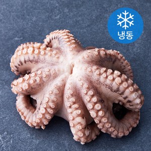 대흥물산 한마리 데친 문어 (냉동), 450g, 1개