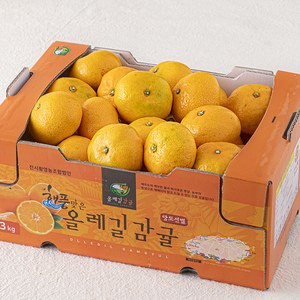 해풍맞은 올레길 Ai선별 당도선별 11bix 감귤, 3kg(랜덤과), 1개