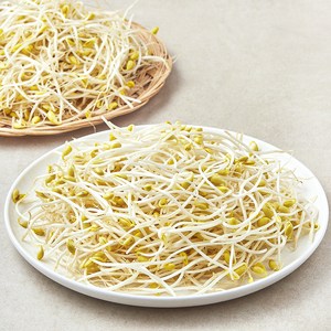 풀무원 국내산 무농약 인증 콩나물, 500g, 2개