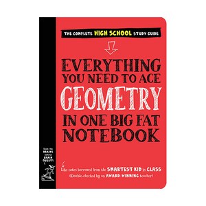 Everything You Need to Ace Geometry in One Big Fat Notebook 청소년노트북