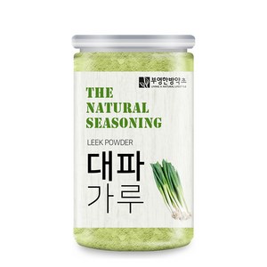 부영한방약초 대파 가루, 100g, 1개