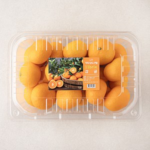 가족 당도선별 11brix 감귤 팩, 1팩, 2kg(로열과)