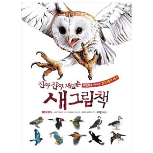 진짜 진짜 재밌는 새 그림책:그림으로 배우는 신기한 지식 백과, 라이카미(부즈펌), 사라 우트리지