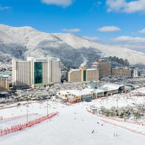 [홍천] 비발디파크