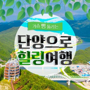 [충청북도] 단양 잔도길여행 구인사-구경시장-만천하스카이워크