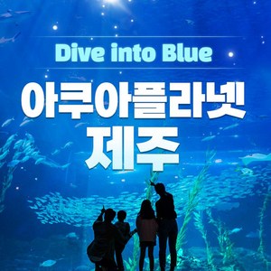 A1. ★선착순★1인 입장권
