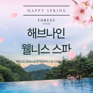 [제천] 포레스트리솜 해브나인 웰니스 스파 이용권(~6.30)