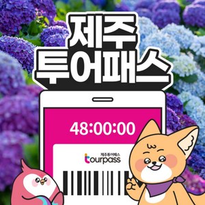 [선착순할인] ★제주투어패스 24시간권 한정특가★