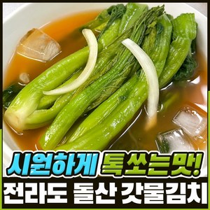 푸드지 여수 돌산 갓물김치, 1개, 1kg