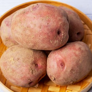 [블루밍그린] 포슬포슬 국내산 카스테라 홍감자, 1개, 5kg / 대