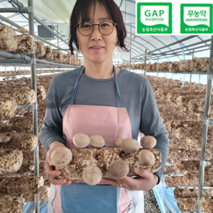 [농부직송] 25년장인 무농약 국내산 표고버섯, 1박스, 2kg (실속형)