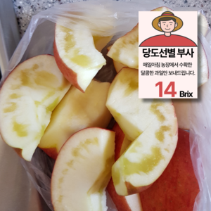 [꿀내음농원] 정품 부사 사과 특가판매, 1개, 3kg (10과 내외)