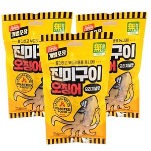 진미오징어 구이 개별포장 간식, 3개, 300g