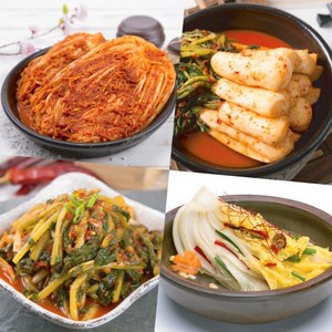 태백하늘 포기1kg + 총각1kg + 오이소박이1kg 3종세트, 1세트