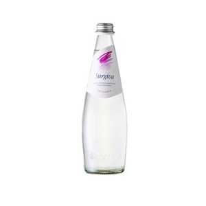 수르지바 스파클링 워터, 500ml, 20개