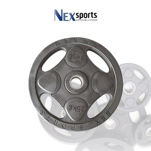 넥스스포츠 4구중량원판25kg, 1개