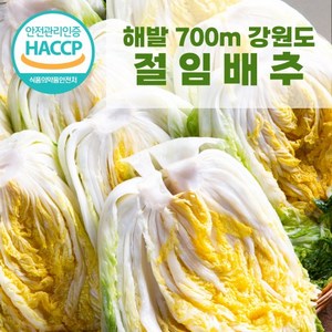 [11월1일부터발송][천상지애] 700m이상 강원도 고랭지 절임배추 20kg[7~9포기], 20kg, 1개