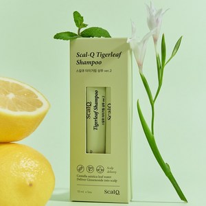 스칼큐 탈모 증상 완화 기능성 여행용 스틱샴푸, 10ml, 5개