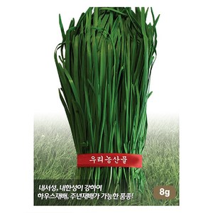 부추씨앗 20g, 1개