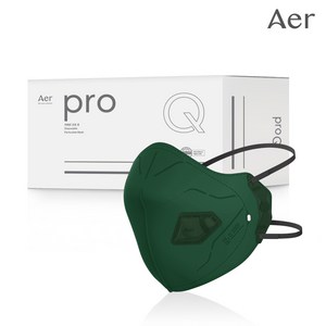 아에르 Pro Q200F (프로 큐) 1급 방진마스크 1BOX (10개입) / 산업용 공사현장 분진 용접용, 아에르 PRO Q200F 1급 방진 (그린), 10개입, 1개