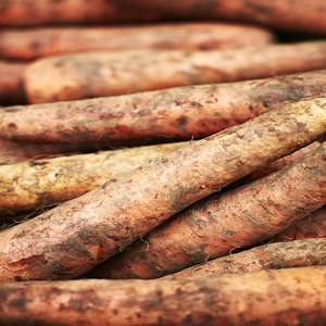 [맛있는 상상] 국내산 경남 아삭아삭 달큰한 흙 당근 5KG [상], 1.흙 당근 [상], 1.흙 당근 [5KG], 1개