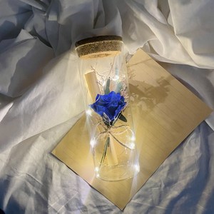 [프렌치로즈]시들지않는꽃 LED유리병 편지지 세트, 블루프리저브드플라워